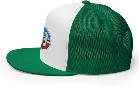 قبعة King 43 Richard Petty Retro Stock Car Racing مطرزة خصيصًا بـ 5 لوحات لسائقي الشاحنات قبعة Snapback in Saudi Arabia