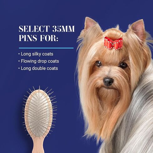 Chris Christensen Dog Brush, 27 mm Oval Pin Brush, Original Series, Groom Like a Professional, Stainless Steel Pins, Lightweight Beech Wood Body, Ground and Polished Tips in Kuwait