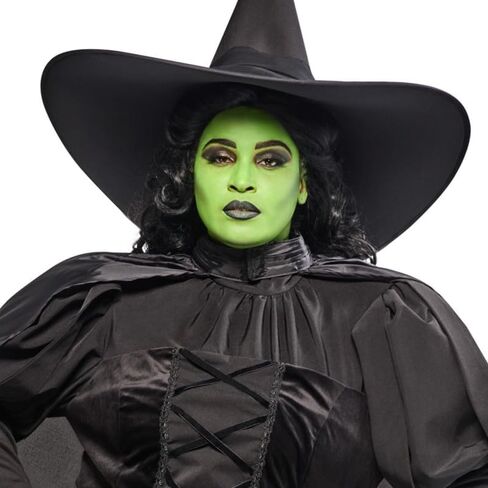 Rubies womens Wicked Witch Adult Costume in Saudi Arabia
