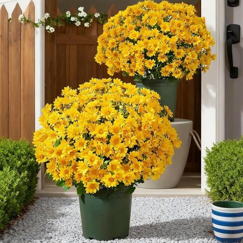 Funsdecor Mums، أمهات غروب الشمس الاصطناعي، نباتات أمهات غروب الشمس الاصطناعية للحديقة الخارجية والداخلية لتزيين المنزل (5 قطع برتقالية) in Kuwait