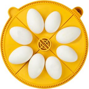 Brinsea Products Maxi Advance Incubator Extra Large Egg Quadrants Insert (8 Goose Eggs), Yellow