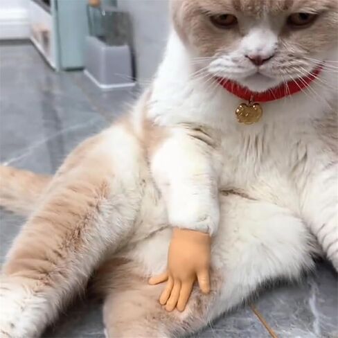 Mini Hands for Cats, Tiny Hands for Cats, Little Cat Hands for Fingers, Finger Puppet for Cat Paws, Finger Gloves for Cats, Small Rubber Human Hands for Cats (3pcs) in Kuwait