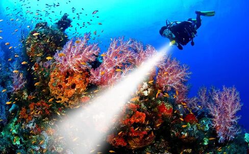 كشاف غوص سكوبا 150000 لومن LED شعلة غوص فائقة السطوع 3 أوضاع IPX8 مقاومة للماء والغطس تحت الماء ضوء فلاش قابل لإعادة الشحن للغوص والرياضات تحت الماء in Kuwait