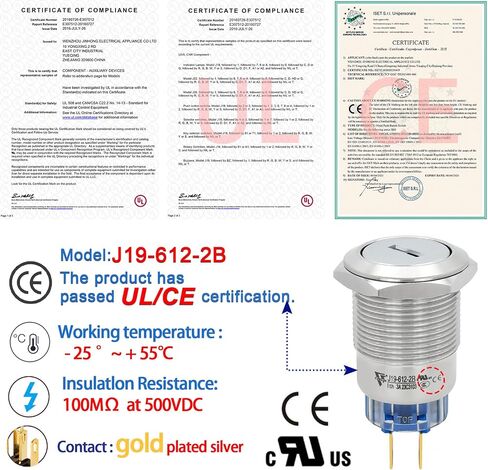 19MM Key Switch 2 Position DPDT 2NO 2NC Lock Rotary Stainless Steel with Keys Select Selector Latching Keylock Pull The Key on Both Sides(19MM 2 Position 2NO2NC) in Saudi Arabia
