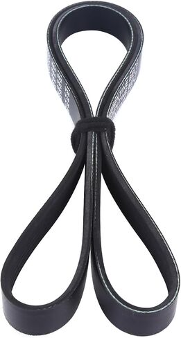 6PK1165 EPDM Serpentine Belt Fit 2002-2004 for Honda Odyssey, 2015-2017 for Ram ProMaster 1500, 2015-2017 for Ram ProMaster 2500, 2015-2017 for Ram ProMaster 3500, 2004-2007 for Saturn Vue 3.5L in Saudi Arabia