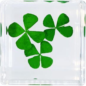 مكعب راتينج أكريليك ثقالة الورق مع زهرة أبدية محفوظة، ديزي أنافاليس داخل 4 سم مكعب أخضر جمالي، رف نباتات ديكور مكتب الحلي ديكور لصديقتك in Kuwait