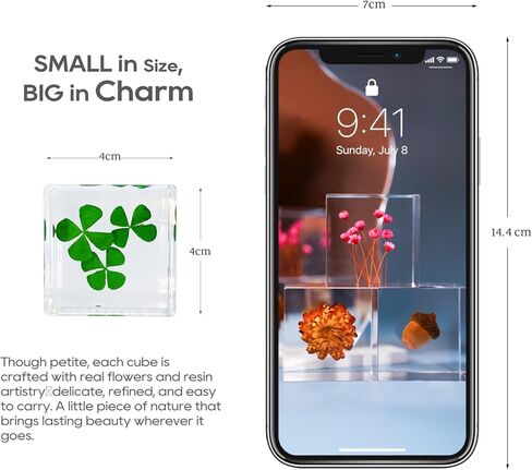 مكعب راتينج أكريليك ثقالة الورق مع زهرة أبدية محفوظة، ديزي أنافاليس داخل 4 سم مكعب أخضر جمالي، رف نباتات ديكور مكتب الحلي ديكور لصديقتك in Kuwait