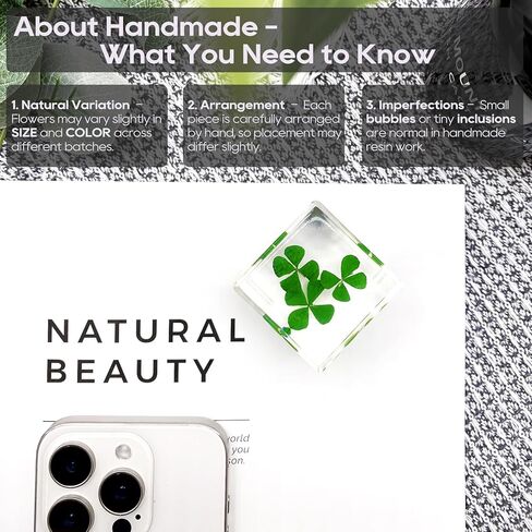 مكعب راتينج أكريليك ثقالة الورق مع زهرة أبدية محفوظة، ديزي أنافاليس داخل 4 سم مكعب أخضر جمالي، رف نباتات ديكور مكتب الحلي ديكور لصديقتك in Kuwait