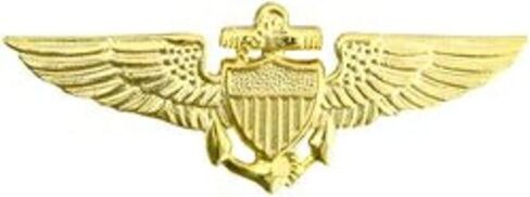 HMC US Navy/US Marine Corps Aviator Wings Pin (2 3/4") in Saudi Arabia