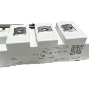 1pcs SKM100GAL17E4 SKM50GAL123D SKM75GAL123D SKM100GAL123D Frequency Conversion Module(SKM100GAL123D) in Saudi Arabia