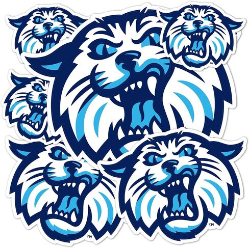 Desert Cactus Villanova University Stickers VU Wildcats Stickers Wildcats Vinyl Decals Laptop Water Bottle Car Scrapbook T3 (Type 3-4) in Saudi Arabia