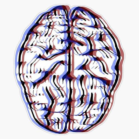 3D Brain Sticker Vinyl Decal Wall Laptop Window Car Bumper Sticker 5" in Saudi Arabia