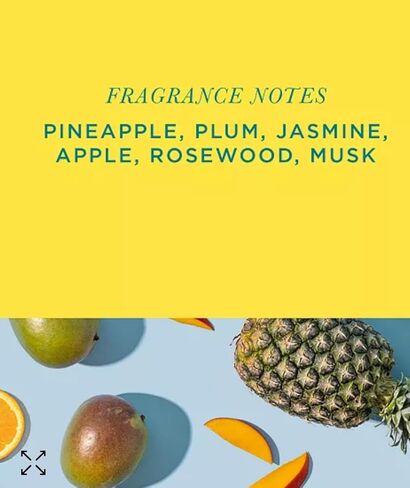 Aromatique Pistachio Macaron Decorative Potpourri, 6 Ounce, Green Bow in Kuwait