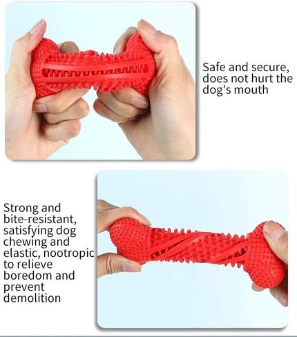 Patchy's Pets Puppy and Small Dog Toothbrush Dental Chew Toy Bone, Teeth Cleaning, Teething, Flexible Durable Rubber Dog Toys, Small Treat Holder, Improved Material (Light Purple) in Saudi Arabia