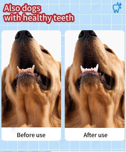 Patchy's Pets Puppy and Small Dog Toothbrush Dental Chew Toy Bone, Teeth Cleaning, Teething, Flexible Durable Rubber Dog Toys, Small Treat Holder, Improved Material (Light Purple) in Saudi Arabia
