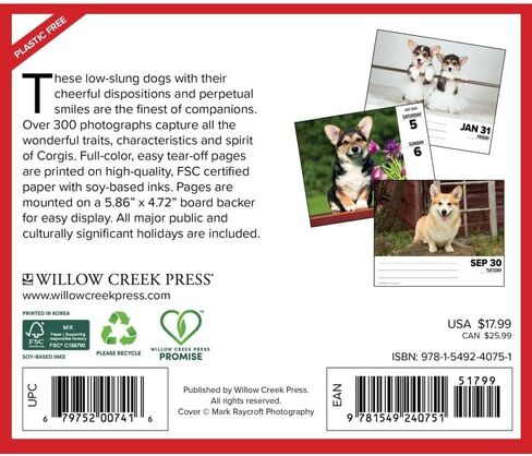 Willow Creek Press Corgis Daily 2025 Box/Desk Calendar (5.86" x 4.72") in Saudi Arabia