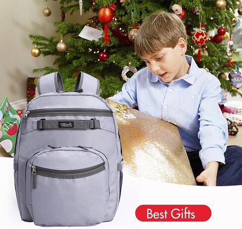 Tilami Basic Backpack with Pouch for Travel, 15 inch Laptop Bag, 2 Padded Compartment, Quick Pouch, 20L Water Resistant Bookbag for Women and Men, Cherry in Kuwait