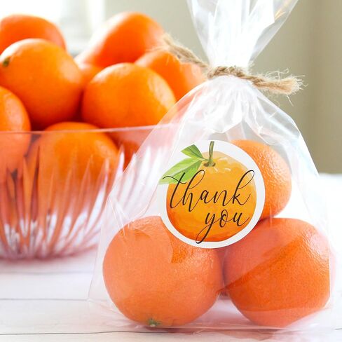 Baby It's Cold Outside Winter Baby Shower Thank You Card Stickers, Party Favor Bag Labels - 40 Count in Saudi Arabia