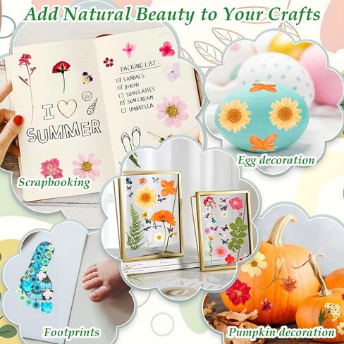 120 PCS Real Pressed Flowers, Natural Dried Pressed Flowers for Resin, Dried Florals Dry Flowers Leaves Kit with Tweezers for Scrapbooking DIY Art Crafts, Mother’s Day Birthday Gift in Kuwait