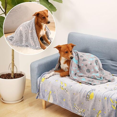 1 Pack 3 Blankets,Dog Throw Blanket Glow in The Dark,Soft Flannel Blanket for Dog Puppy Cat Kitten. in Saudi Arabia