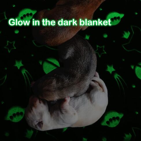 1 Pack 3 Blankets,Dog Throw Blanket Glow in The Dark,Soft Flannel Blanket for Dog Puppy Cat Kitten. in Saudi Arabia
