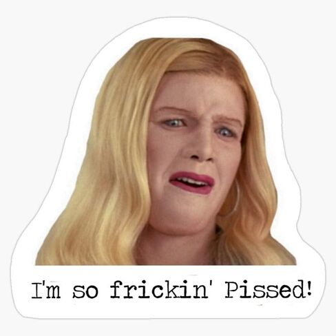 White Chicks Quote. Sticker Vinyl Bumper Sticker Decal Waterproof 5" in Saudi Arabia