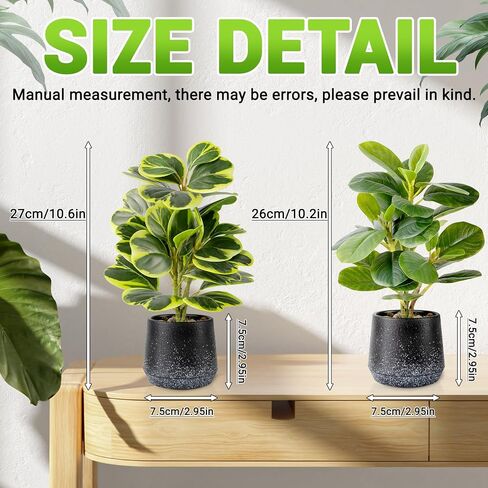 2 حزمة من النباتات الاصطناعية بوعاء واقعية Peperomia Obtusifolia، 11 بوصة خضراء صناعية صغيرة للمكتب أو الحمام أو المكتب أو ديكور المنزل (دائم الخضرة، صيانة مجانية) in Saudi Arabia