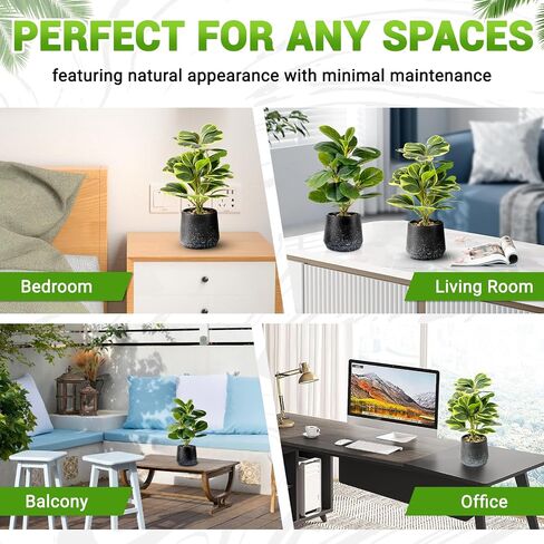 2 حزمة من النباتات الاصطناعية بوعاء واقعية Peperomia Obtusifolia، 11 بوصة خضراء صناعية صغيرة للمكتب أو الحمام أو المكتب أو ديكور المنزل (دائم الخضرة، صيانة مجانية) in Saudi Arabia