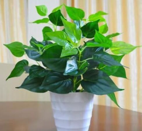Artificial Pothos Leaves Faux Greenery Stems Decor Artificial Green Branches Leaves for Wedding Flowers Bouquet Home Decors in Saudi Arabia