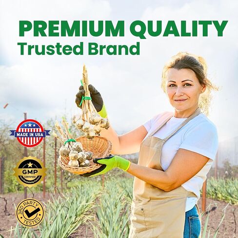 Lovita Odorless Garlic Extract, 50mg 100:1 Concentrate, High Potency, 1.25% Allicin, Gluten-Free, Supports Immune & Cardiovascular Health, 60 Vegan Capsules, 2 Month Supply in Kuwait