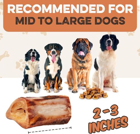 BRUTUS & BARNABY Marrow Bones for Dogs – 100% USA-Sourced Beef Bones – Long-Lasting, All-Natural Dog Chews – High Protein, Supports Dental Health, (3-pk) – Made in The USA in Kuwait