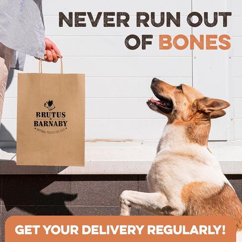 BRUTUS & BARNABY Marrow Bones for Dogs – 100% USA-Sourced Beef Bones – Long-Lasting, All-Natural Dog Chews – High Protein, Supports Dental Health, (3-pk) – Made in The USA in Kuwait