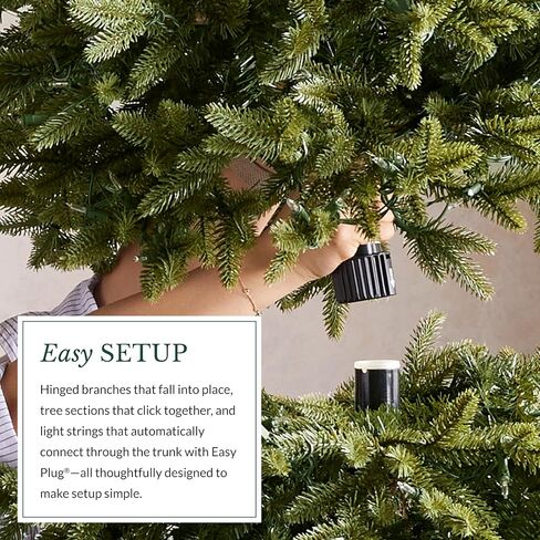 Balsam Hill BH Balsam Fir Full Tree - Realistic Artificial Christmas Tree, Premium Stand, Storage Bag & Easy Assembly for Indoor Holiday Decorating, LED Clear, 7.5ft in Saudi Arabia