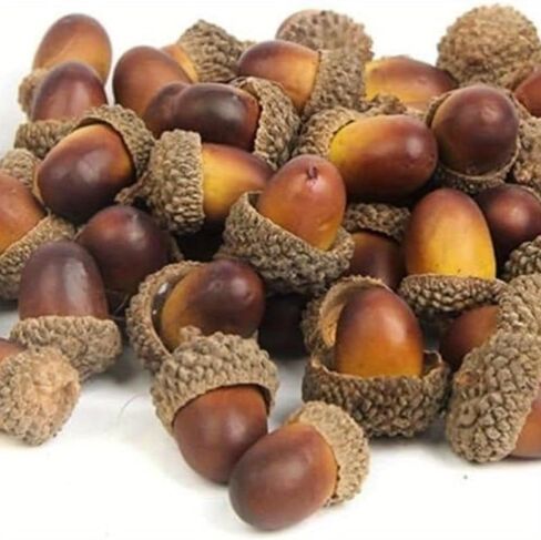 40PCS Artificial Fake Nutty Craft Acorns with Natural Acorn Cap Simulation Fruit Props for Vase Filler, Home Thanksgiving Day Christmas in Saudi Arabia