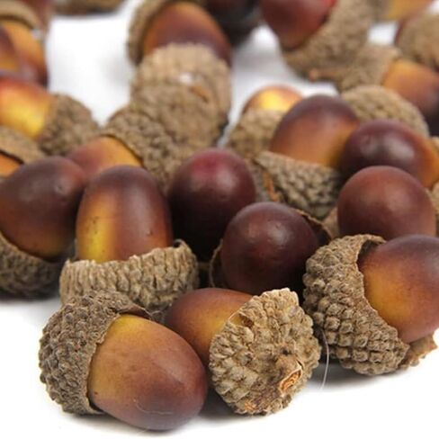 40PCS Artificial Fake Nutty Craft Acorns with Natural Acorn Cap Simulation Fruit Props for Vase Filler, Home Thanksgiving Day Christmas in Saudi Arabia