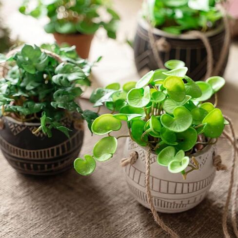 Artificial Plant Mini Bouquet Copper Coin Grass with Soft Glue, Hanging Plants for Shelf, Fake Green Plants Wall Hanging for Home, Office & Garden Decoration in Saudi Arabia
