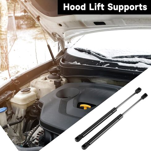 Front Hood Lift Supports Struts Gas Shock Spring - Compatible for Kia VQ Sedona 2006-2014 for Hyundai Entourage 2007-2010 - Replace Part 811614D000 Set of 2 in Saudi Arabia