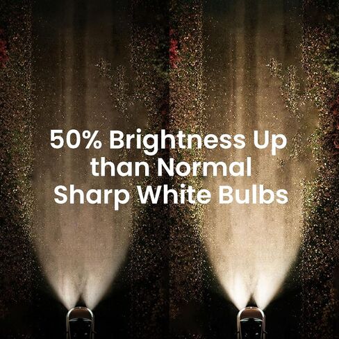 H11 Halogen Headlight Bulb Sharp White Increased Brightness 12V High Beam, Low Beam Fog Replacement Bulb 2 Pack in Saudi Arabia