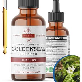 Goldenseal Root Liquid Extract - 2 Fl Oz - Goldenseal Tincture, Alcohol Free, Vegan - 2 Fl Oz