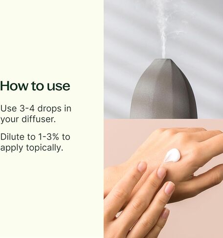 Plant Therapy Christmas Tree Holiday Essential Oil Blend 100% Pure, Undiluted, Natural, Therapeutic Grade 10 mL (1/3 oz) in Kuwait