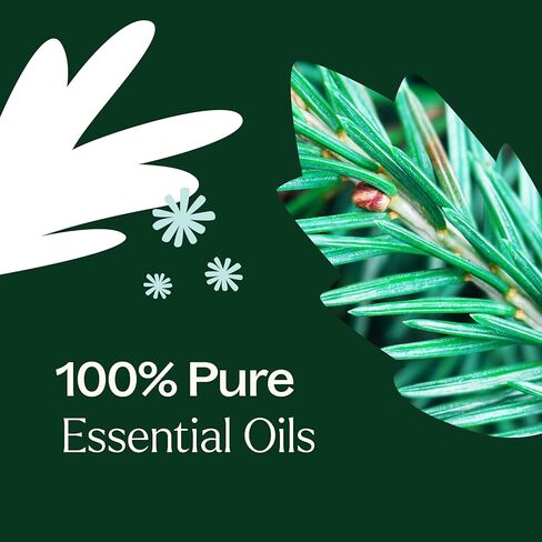 Plant Therapy Christmas Tree Holiday Essential Oil Blend 100% Pure, Undiluted, Natural, Therapeutic Grade 10 mL (1/3 oz) in Kuwait