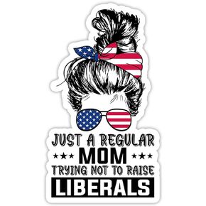 YOU ARE MY SUNSHINE 3 Pcs/Pack - Just A Regular Mom Trying Not to Raise Liberals Republicans Bumper Sticker - Laptop Bottle Car Bumper Helmet Gift Wall Window Sticker 3"x4" SK20052101 in Saudi Arabia