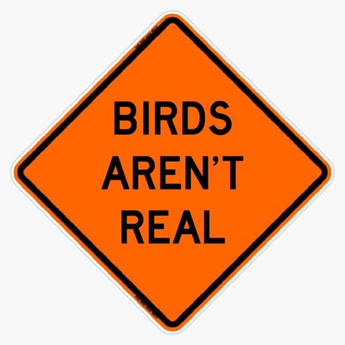 Birds aren't Real Window Bumper Sticker Decal 5" in Saudi Arabia