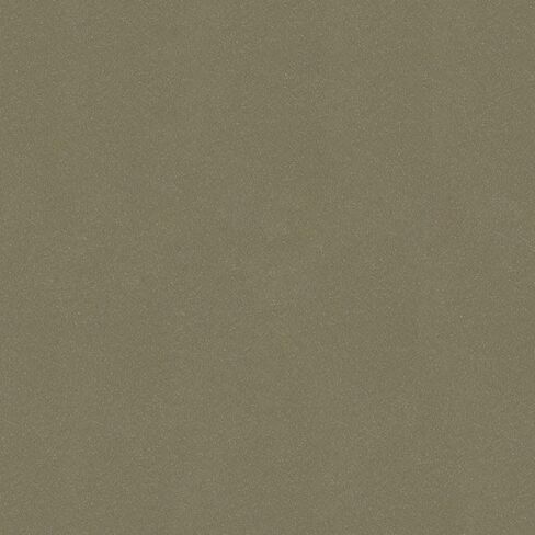 R&E Paint Supply Compatible with Honda YR574M, Bold Beige Metallic Automotive Paint, 11oz Aerosol in Saudi Arabia