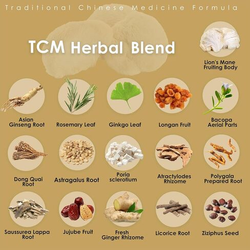 Redmint turkey tail tincroom tincture herbal -munity & vitality | مع الأعشاب TCM من Astragalus والمزيد | ملحق الدعم المناعي العضوي | دفعة الطبيعة للحصانة والطاقة | 1 فلوريدا أوقية in Kuwait