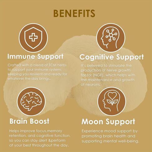 Redmint turkey tail tincroom tincture herbal -munity & vitality | مع الأعشاب TCM من Astragalus والمزيد | ملحق الدعم المناعي العضوي | دفعة الطبيعة للحصانة والطاقة | 1 فلوريدا أوقية in Kuwait
