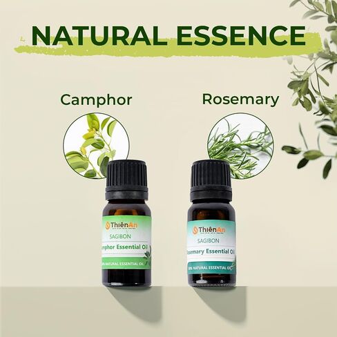 THIEN AN - Car Air Fresheners Set Rosemary and Eucalyptus Scents Natural Car Fragrance Satobon with Car Diffuser (10ml) Car Vent Clips, Refillable Car Air Fresheners in Saudi Arabia