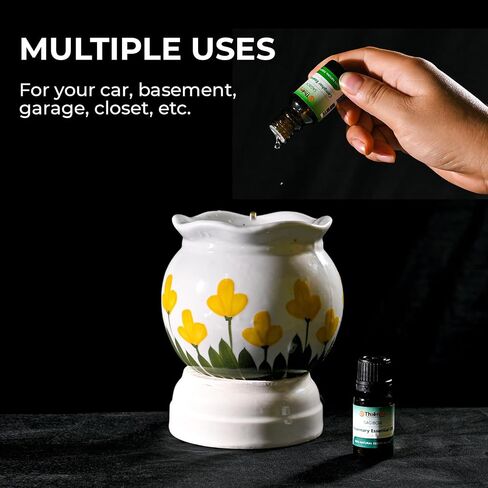 THIEN AN - Car Air Fresheners Set Rosemary and Eucalyptus Scents Natural Car Fragrance Satobon with Car Diffuser (10ml) Car Vent Clips, Refillable Car Air Fresheners in Saudi Arabia