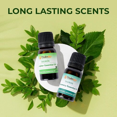 THIEN AN - Car Air Fresheners Set Rosemary and Eucalyptus Scents Natural Car Fragrance Satobon with Car Diffuser (10ml) Car Vent Clips, Refillable Car Air Fresheners in Saudi Arabia