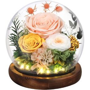 Mother's Day Eternal Rose Gifts for Mom, Preserved Real Rose in Glass Dome with LED Light for Decoration, Flowers for Delivery Prime, Gifts for Women Wife Her on Birthday Anniversary, Purple in Kuwait